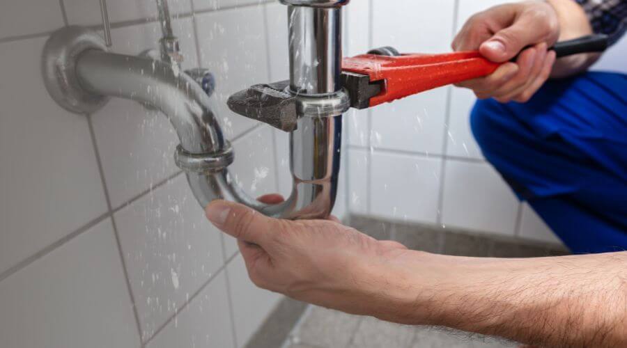Leak Detection Services in Newville, AL